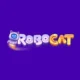 ROBOCAT Casino