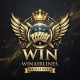 WINAIRLINES